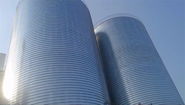 龙湖2座混凝土高架卷板仓